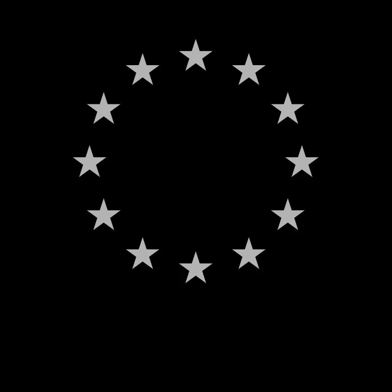 Europe EU Flag Grey