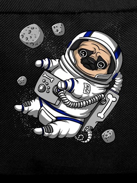Pug Dog Space Astronaut Pet
