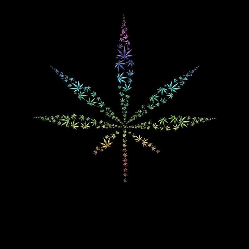 Cannabis Chanvre