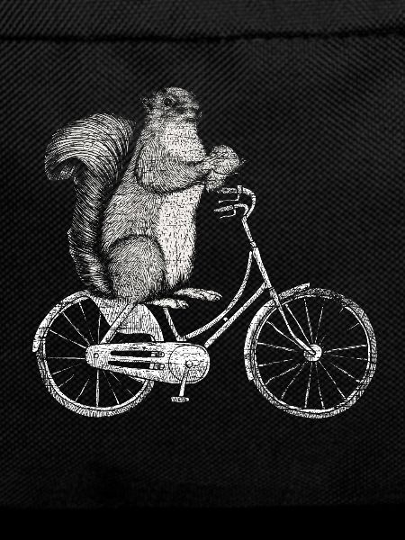 squirrel