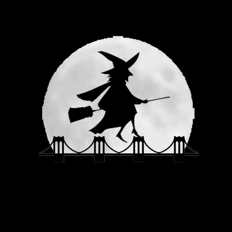 Witch magic witchcraft halloween broom