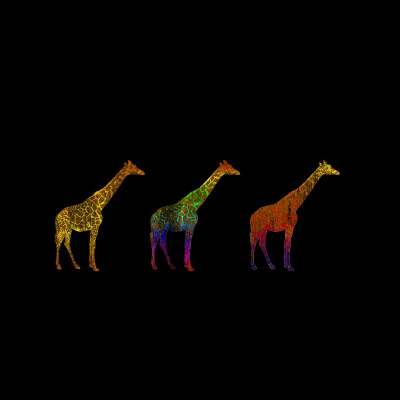 Giraffe Savanne