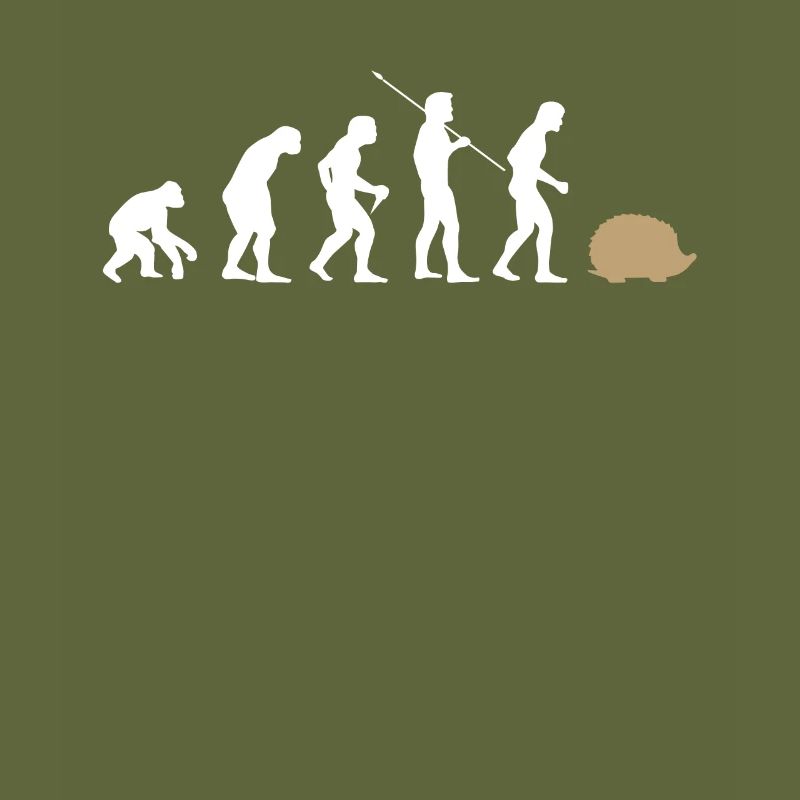 Évolution hérisson