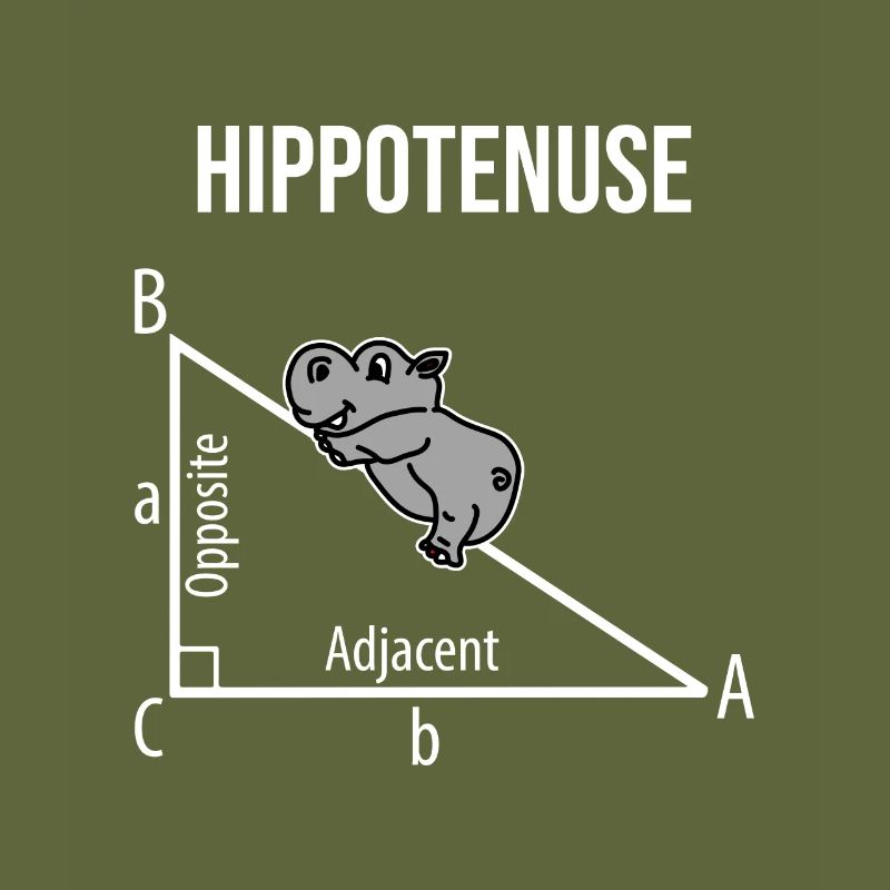 Nilpferd Mathematik