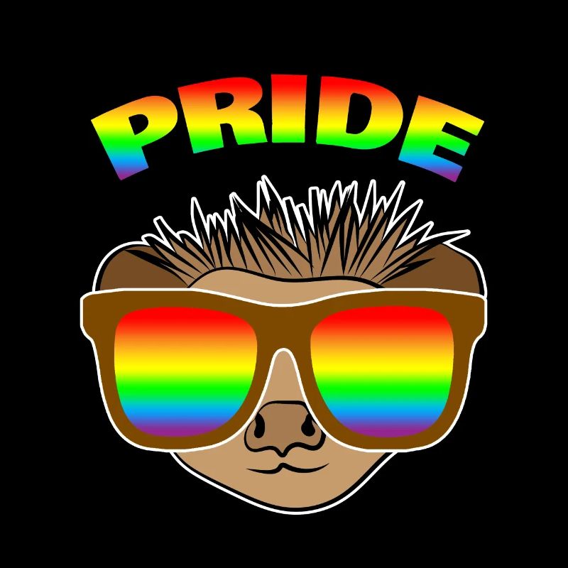 Igel Regenbogen