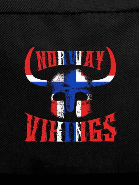 Norwegen Wikinger