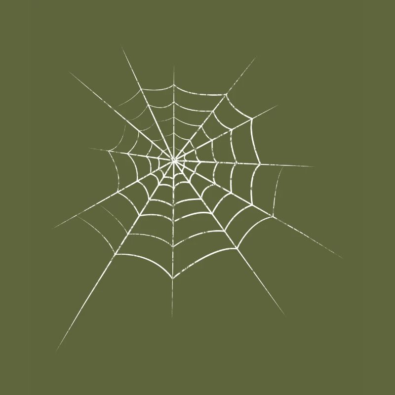 Spider cobweb