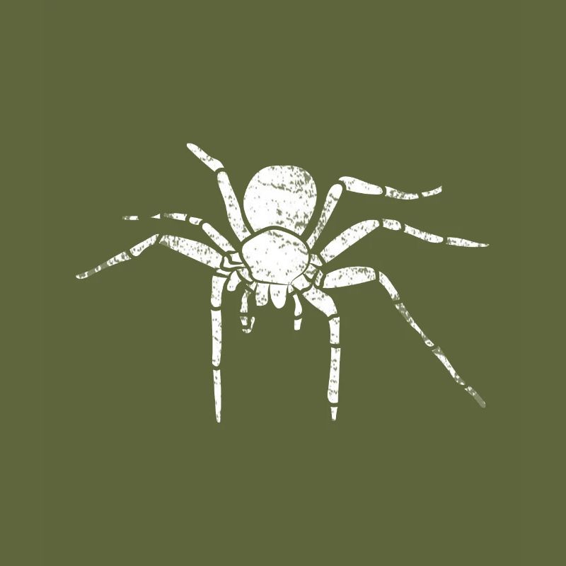 Spinne