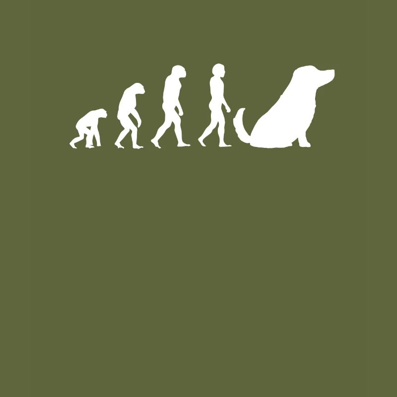 Hunde Haustier Evolution Hundebesitzer