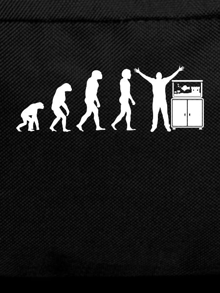 Fish aquarium evolution