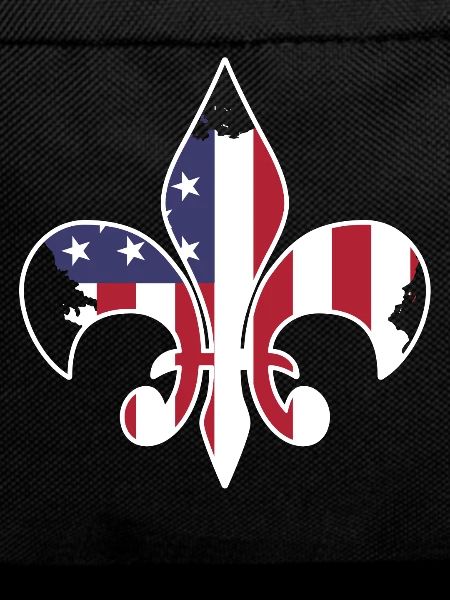 Scouting USA flag