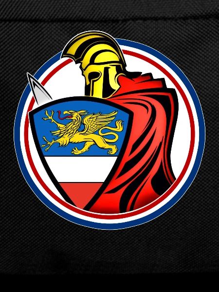 Rostock Swordsman