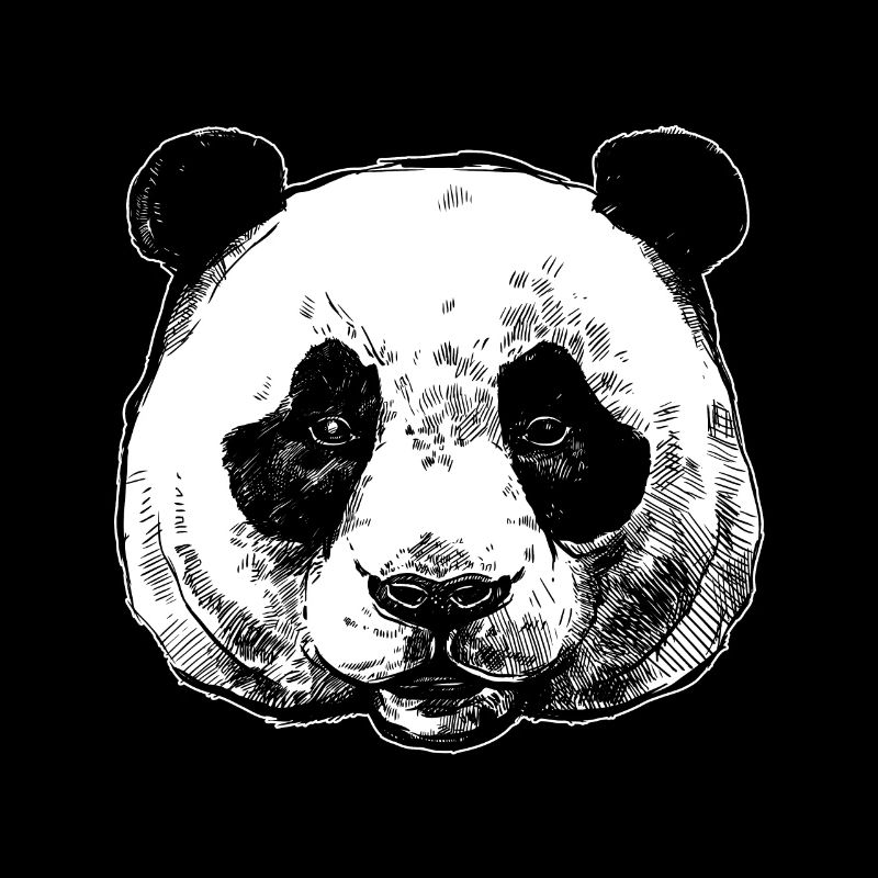 Ours panda