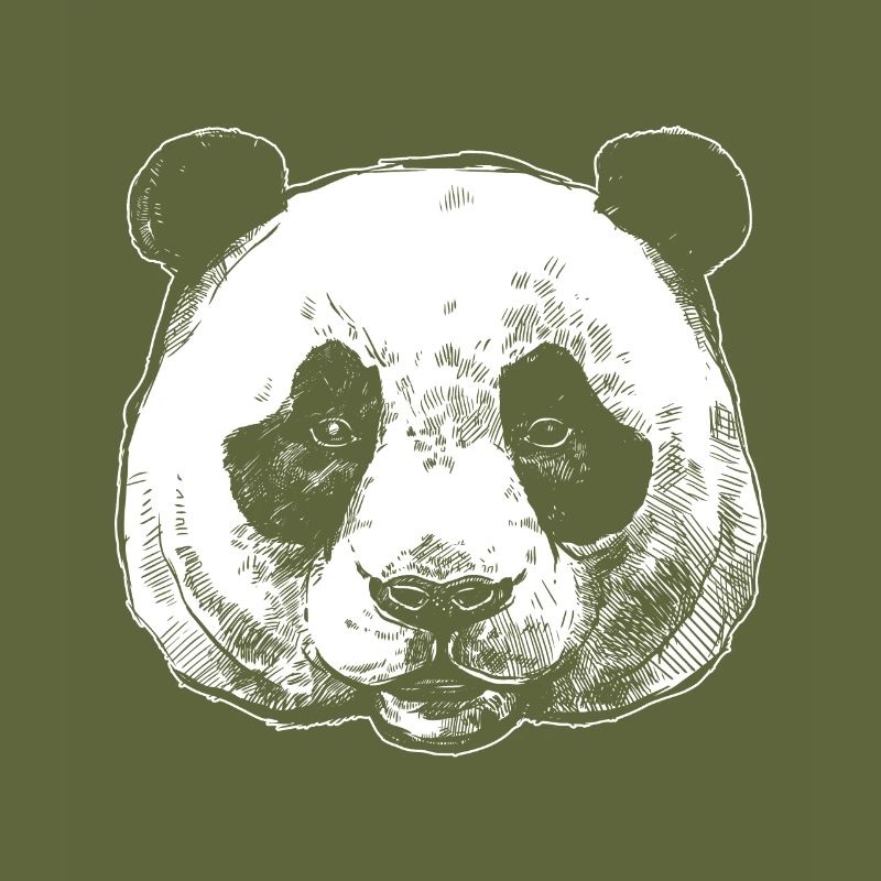 Panda bear