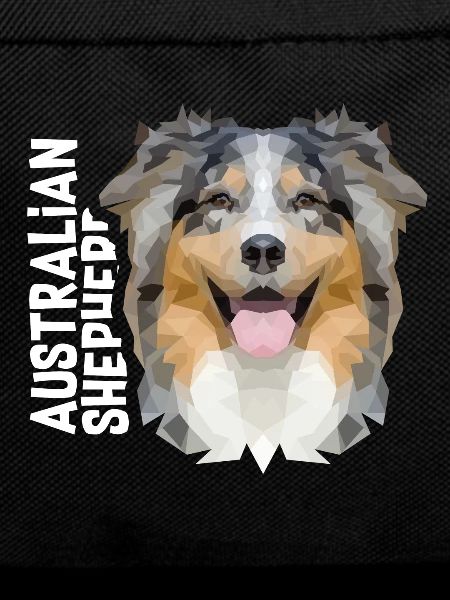 Australian Shepherd
