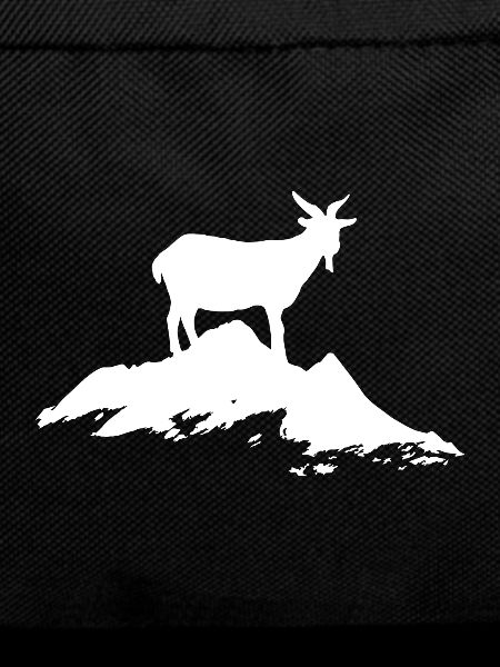 Goat mountain goat