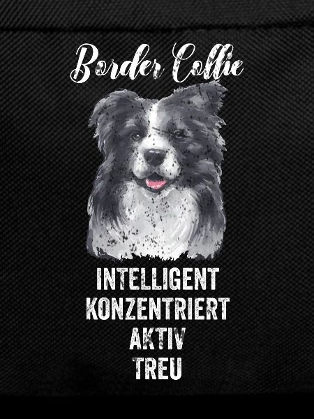 Border Collie