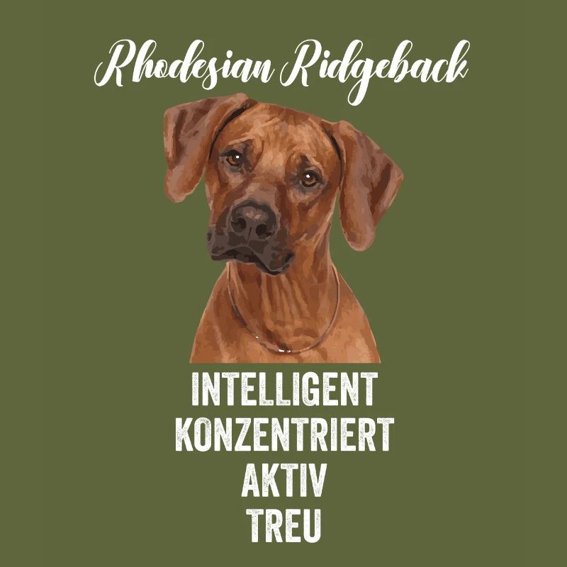 Rhodesian Ridgeback Hund
