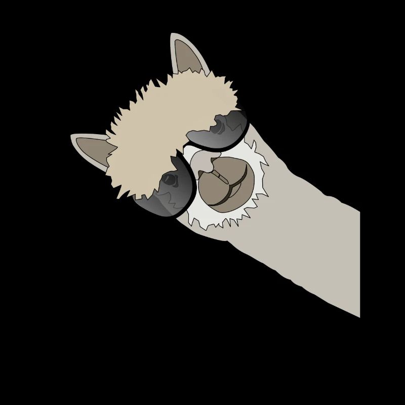 Cool Llama alpaca with sunglasses