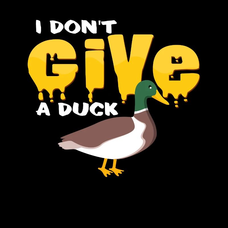 canards