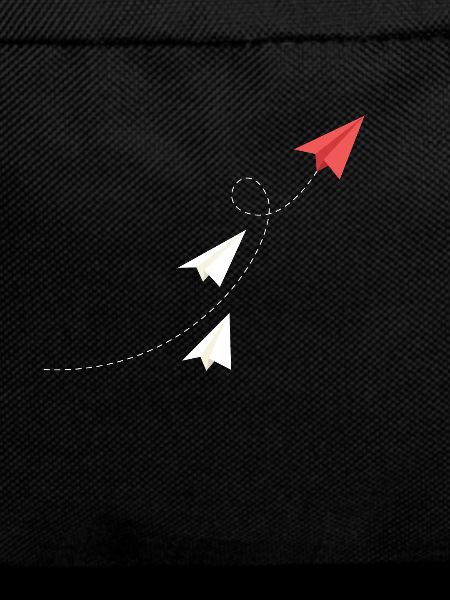 The paper planes