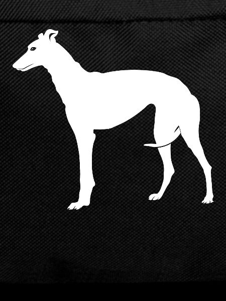 Greyhound Greyhound