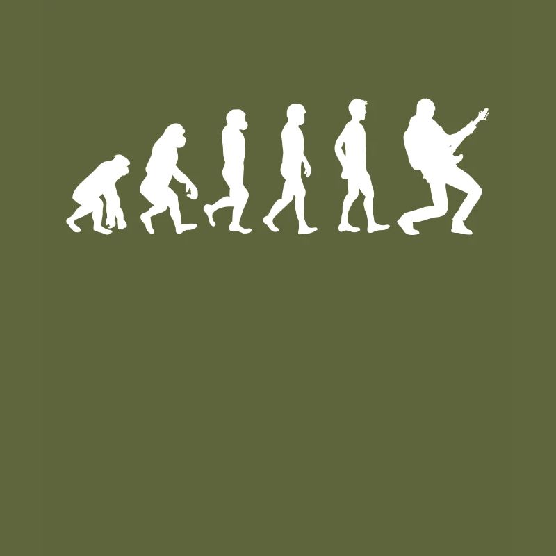 Evolution Gitarre