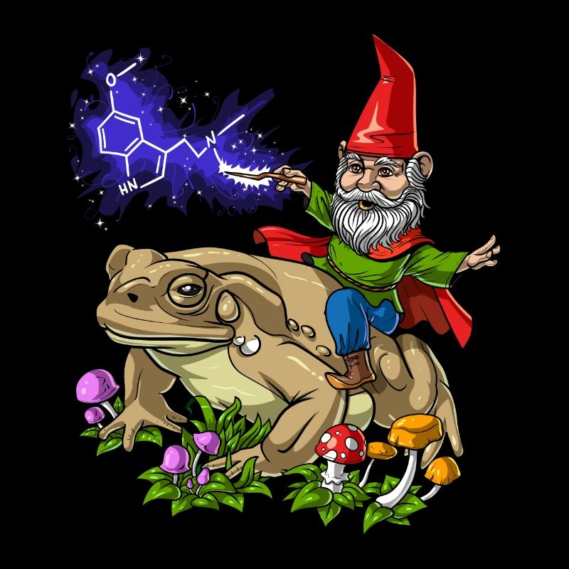 Gnome Riding Bufo Alvarius Frog