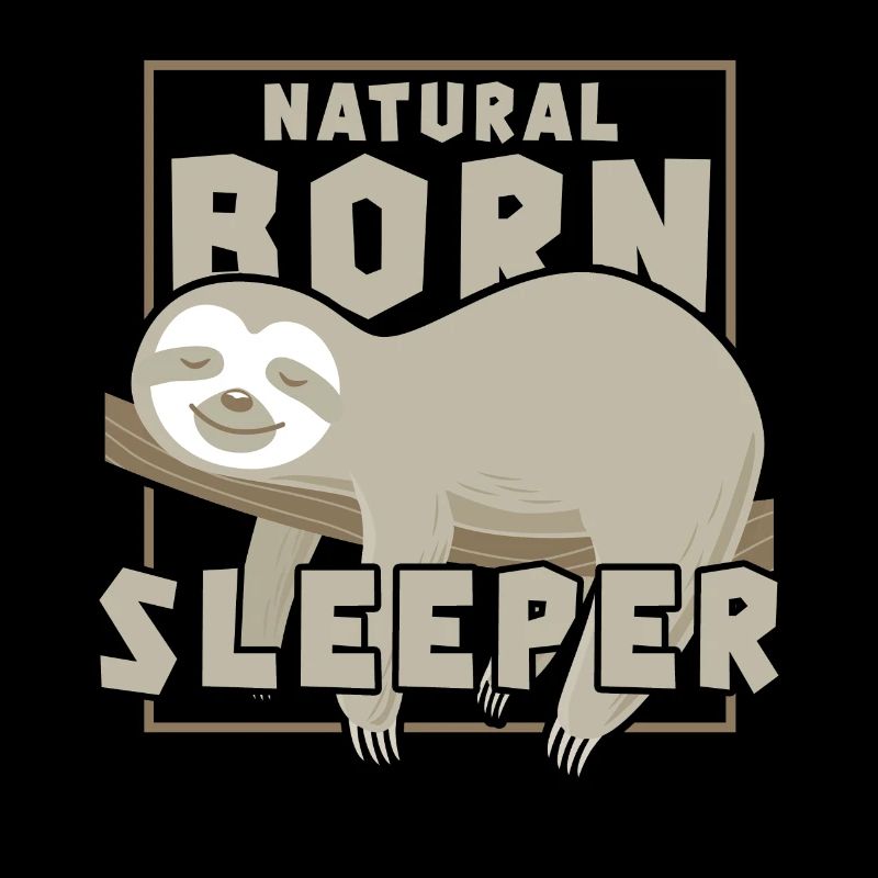 Sloth Sleeping Nap