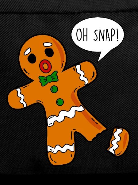 Christmas biscuit - Oh snap!
