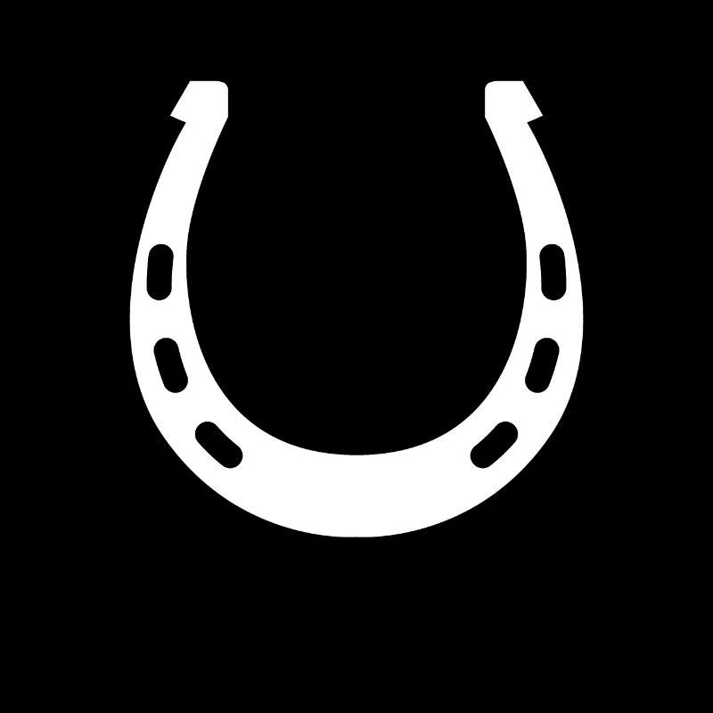 équitation