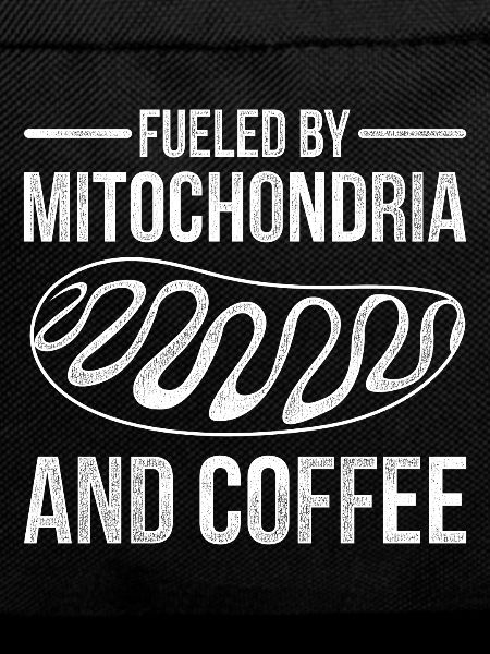 Biology mitochondria