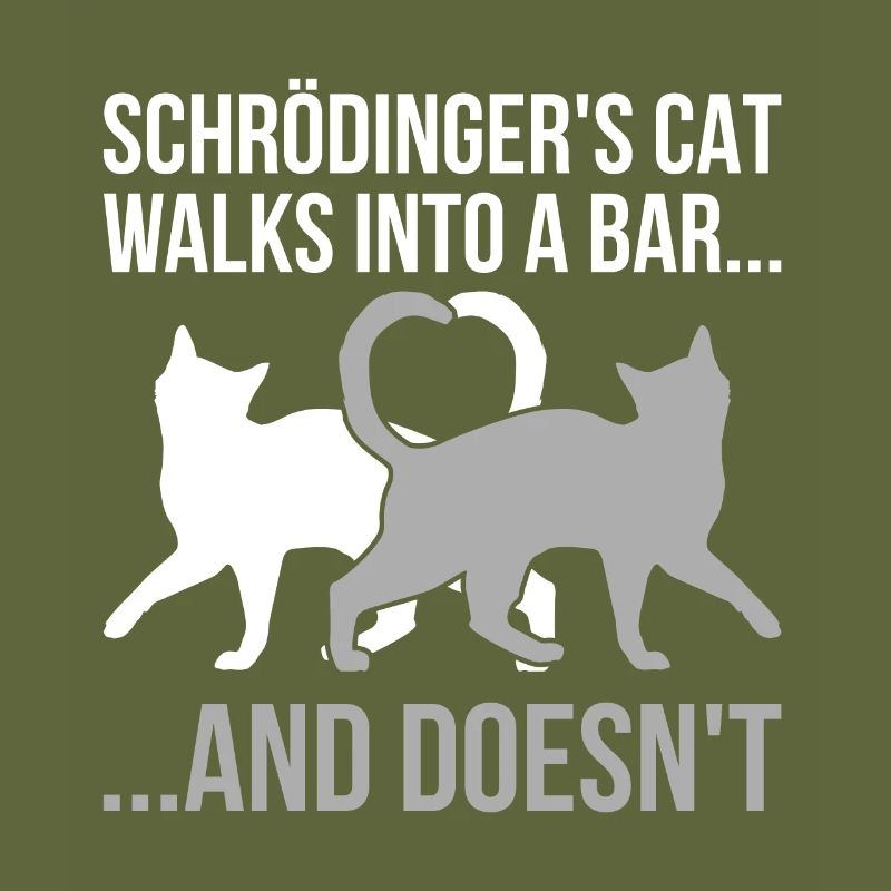 Physics Schrödinger