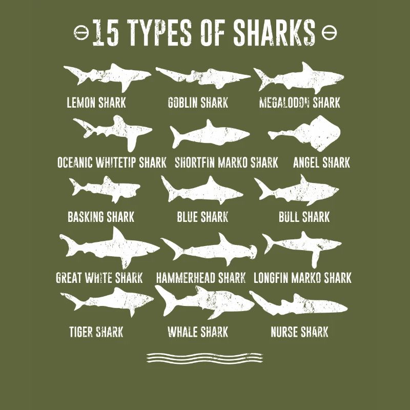 Requins - 15 types de requins