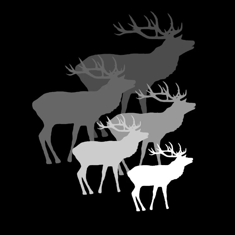 Hirsche mit Geweih, Hirsch, Rehbock, Rotwild, grau