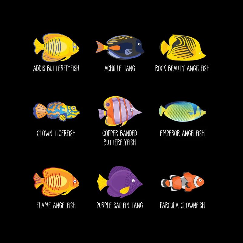 Tropical fish anemonefish angelfish