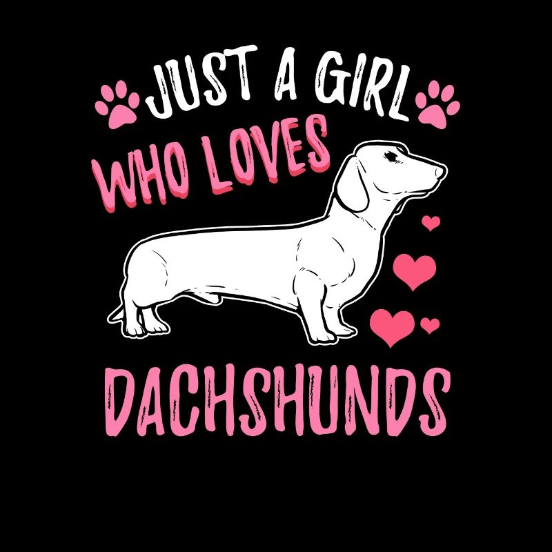 dachshund