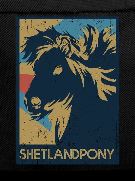 Shetland pony