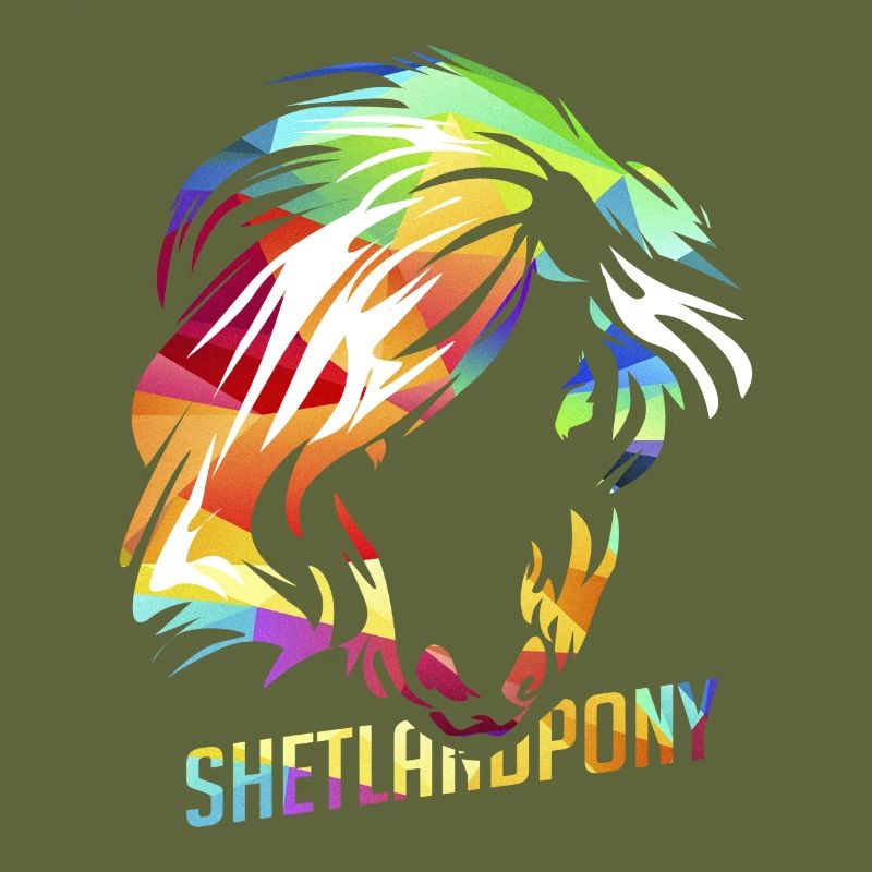 Shetland pony