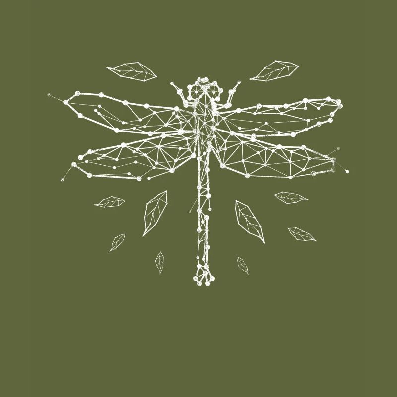 Dragonfly insect animals