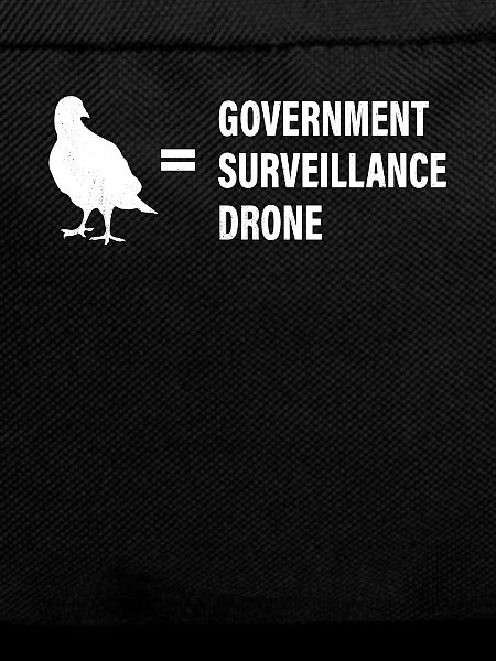 Birds aren't real
