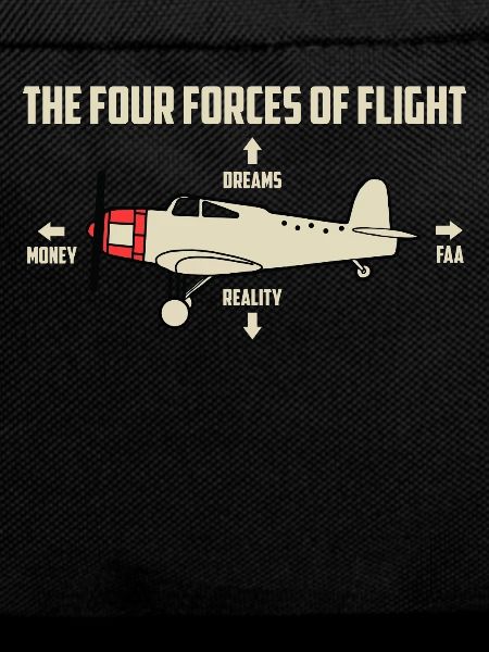 Flugzeug
