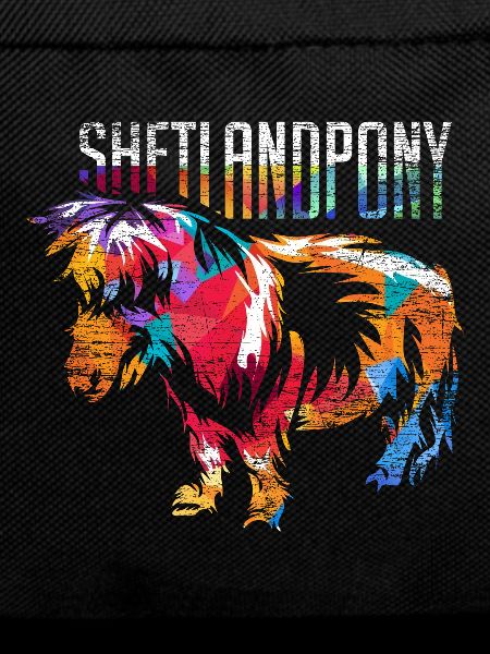 Shetland pony