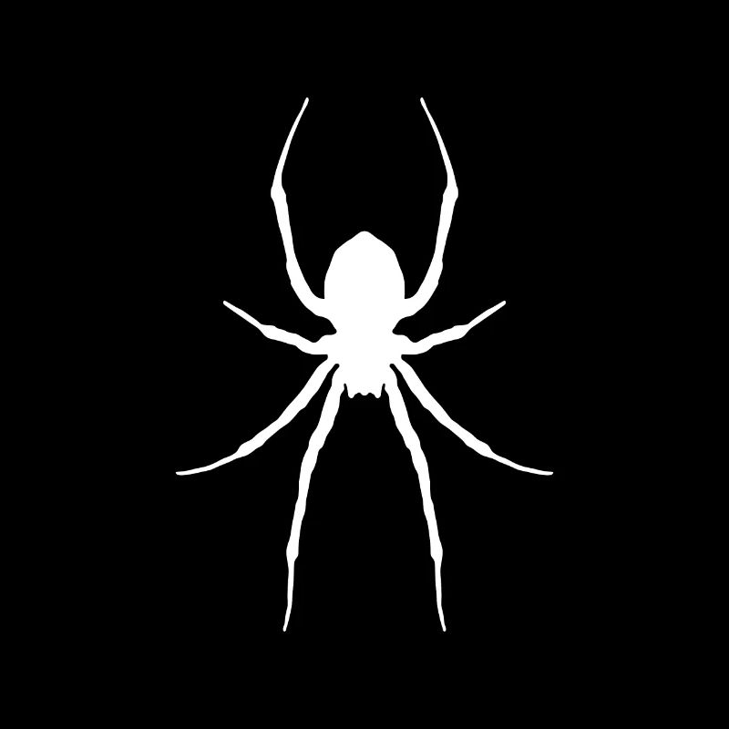 Spinne