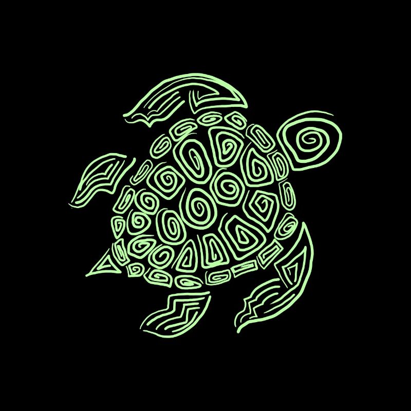 Turtle turtle shell animal