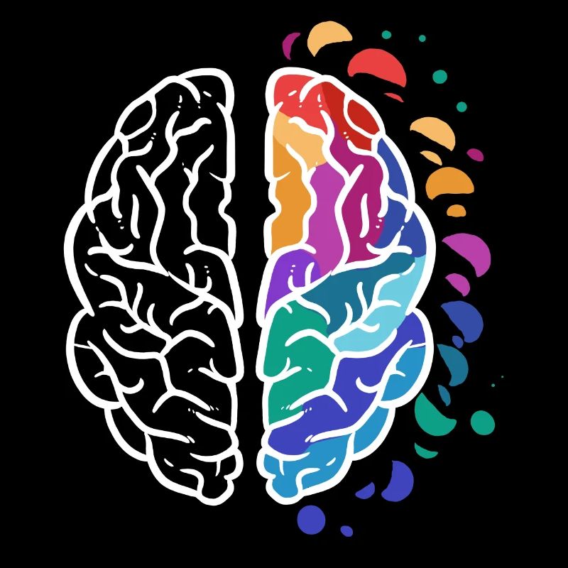 cerveau