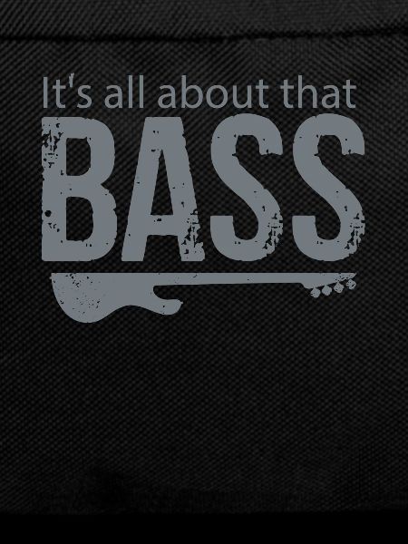 Bassist bass guitar