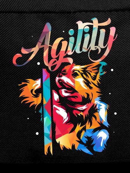 Dog agility