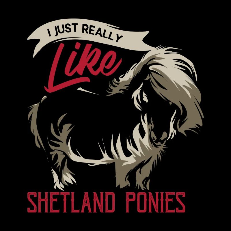 Shetland pony
