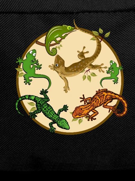 Gecko lizard